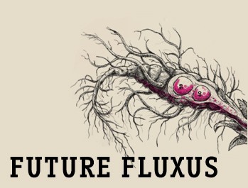 FUTURE FLUXUS 2011-Donaufestival Krems Austria 2011